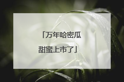 万年哈密瓜甜蜜上市了