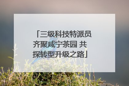 三级科技特派员齐聚咸宁茶园 共探转型升级之路