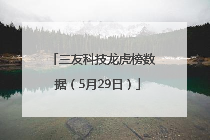三友科技龙虎榜数据（5月29日）