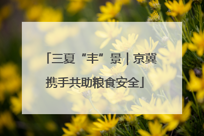三夏“丰”景｜京冀携手共助粮食安全