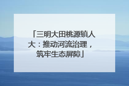 三明大田桃源镇人大：推动河流治理，筑牢生态屏障
