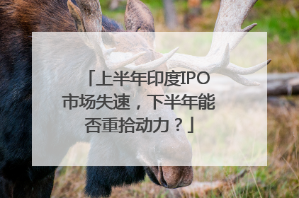 上半年印度IPO市场失速，下半年能否重拾动力？