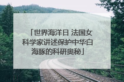 世界海洋日 法国女科学家讲述保护中华白海豚的科研奥秘