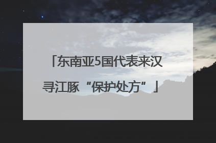 东南亚5国代表来汉寻江豚“保护处方”