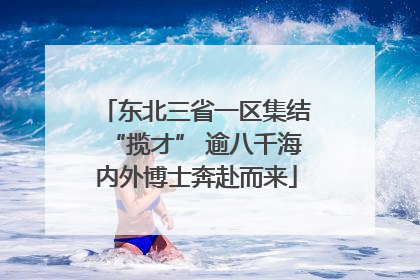东北三省一区集结“揽才” 逾八千海内外博士奔赴而来