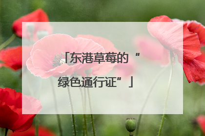 东港草莓的“绿色通行证”