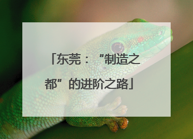 东莞：“制造之都”的进阶之路