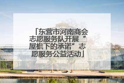东营市河南商会志愿服务队开展“屋檐下的承诺”志愿服务公益活动
