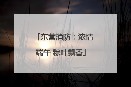 东营消防：浓情端午 粽叶飘香