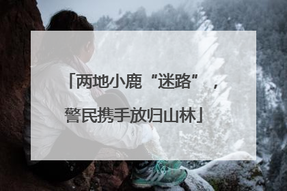 两地小鹿“迷路”，警民携手放归山林