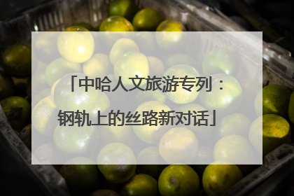 中哈人文旅游专列：钢轨上的丝路新对话
