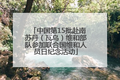 中国第15批赴南苏丹（瓦乌）维和部队参加联合国维和人员日纪念活动