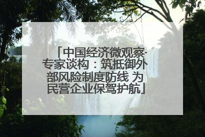中国经济微观察·专家谈构：筑抵御外部风险制度防线 为民营企业保驾护航