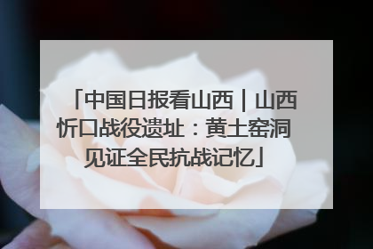 中国日报看山西｜山西忻口战役遗址：黄土窑洞见证全民抗战记忆
