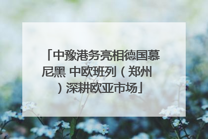 中豫港务亮相德国慕尼黑 中欧班列（郑州）深耕欧亚市场