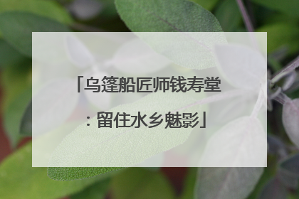 乌篷船匠师钱寿堂：留住水乡魅影