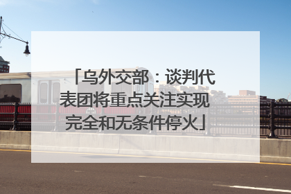 乌外交部：谈判代表团将重点关注实现完全和无条件停火