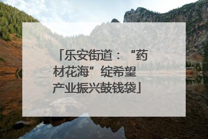 乐安街道：“药材花海”绽希望 产业振兴鼓钱袋