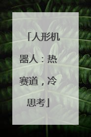 人形机器人：热赛道，冷思考