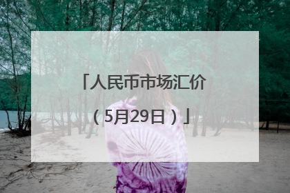 人民币市场汇价（5月29日）