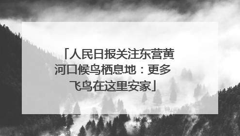 人民日报关注东营黄河口候鸟栖息地：更多飞鸟在这里安家