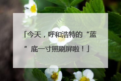 今天，呼和浩特的“蓝”底一寸照刷屏啦！