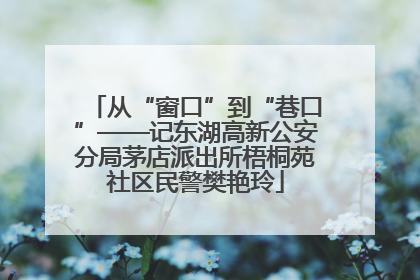 从“窗口”到“巷口”——记东湖高新公安分局茅店派出所梧桐苑社区民警樊艳玲
