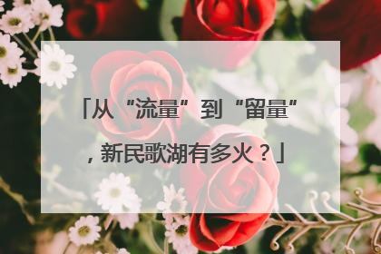 从“流量”到“留量”,新民歌湖有多火?
