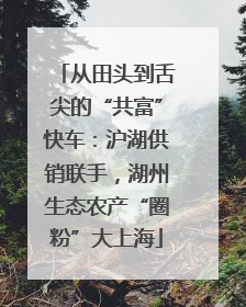 从田头到舌尖的“共富”快车：沪湖供销联手，湖州生态农产“圈粉”大上海