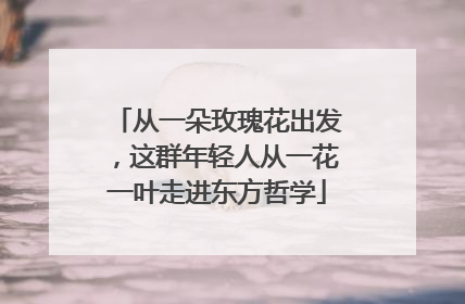 从一朵玫瑰花出发，这群年轻人从一花一叶走进东方哲学