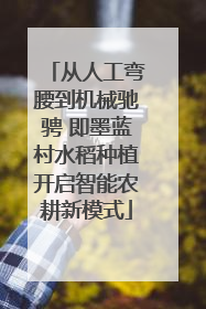 从人工弯腰到机械驰骋 即墨蓝村水稻种植开启智能农耕新模式
