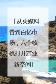 从央媒科普到百亿市场，六个核桃打开产业新空间