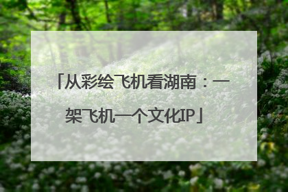 从彩绘飞机看湖南：一架飞机一个文化IP