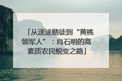 从迷途赌徒到“黄桃领军人”：肖石明的高素质农民蜕变之路