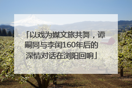 以戏为媒文旅共舞，谭嗣同与李闰160年后的深情对话在浏阳回响