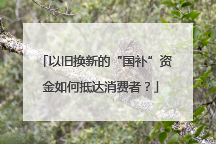 以旧换新的“国补”资金如何抵达消费者？