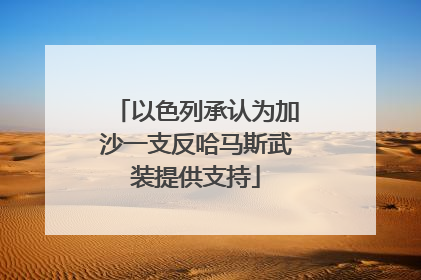 以色列承认为加沙一支反哈马斯武装提供支持
