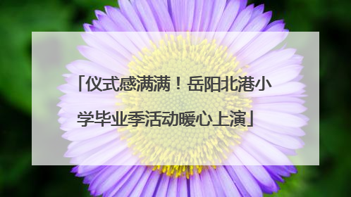 仪式感满满！岳阳北港小学毕业季活动暖心上演
