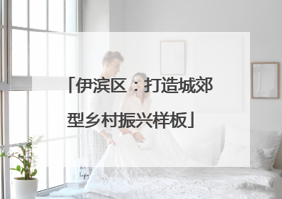 伊滨区：打造城郊型乡村振兴样板