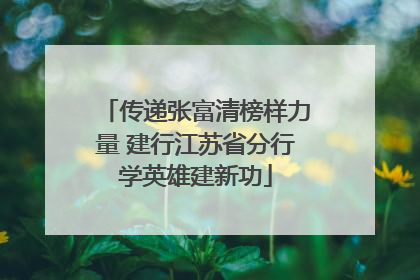 传递张富清榜样力量 建行江苏省分行学英雄建新功