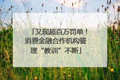 又现超百万罚单！消费金融合作机构管理“教训”不断