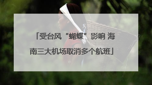 受台风“蝴蝶”影响 海南三大机场取消多个航班