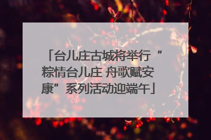 台儿庄古城将举行“粽情台儿庄 舟歌赋安康”系列活动迎端午