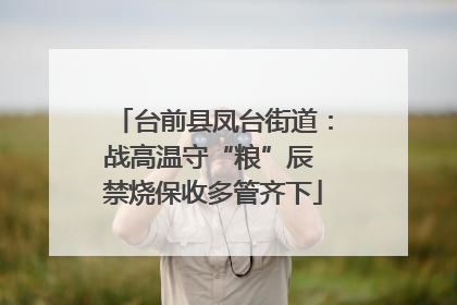 台前县凤台街道：战高温守“粮”辰 禁烧保收多管齐下