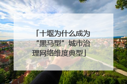 十堰为什么成为“黑马型”城市治理网络维度典型