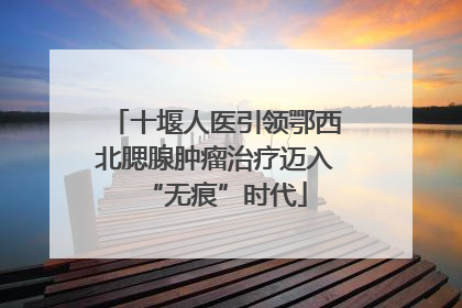 十堰人医引领鄂西北腮腺肿瘤治疗迈入“无痕”时代