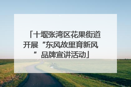 十堰张湾区花果街道开展“东风故里育新风”品牌宣讲活动