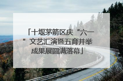 十堰茅箭区庆“六一”文艺汇演暨五育并举成果展圆满落幕