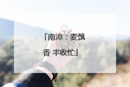 南漳：麦飘香 丰收忙