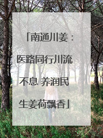 南通川姜：医路同行川流不息 养润民生姜荷飘香